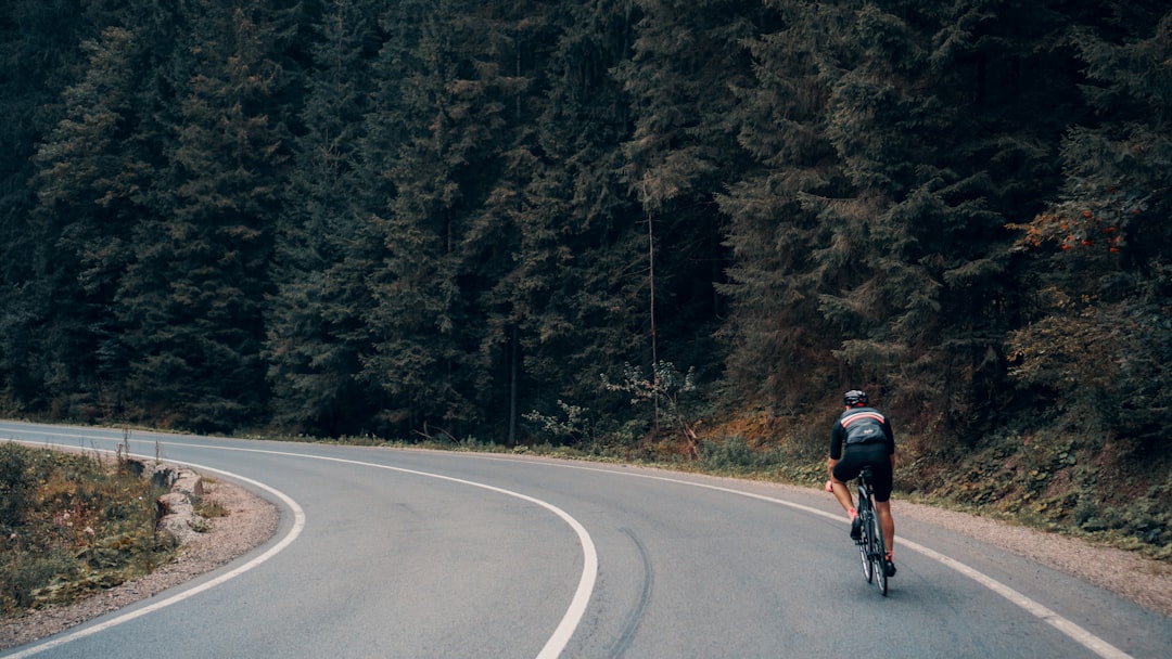 Trek road bike — size M