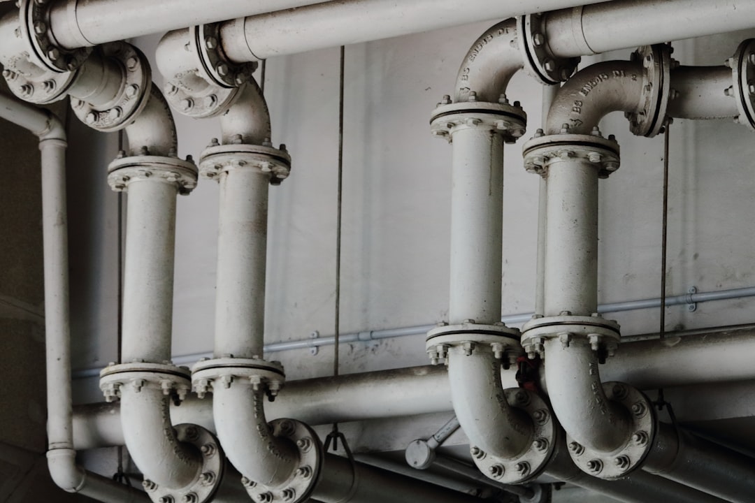 Licensed plumber — same-day