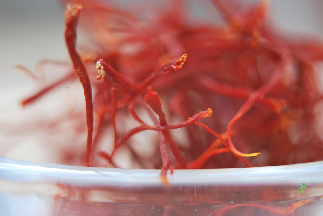 Sargol saffron — 50g sealed